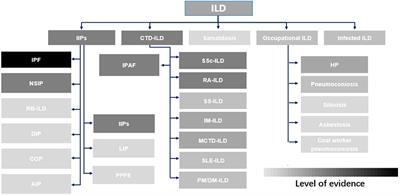 Use of pirfenidone in fibrotic interstitial lung diseases and beyond: a review